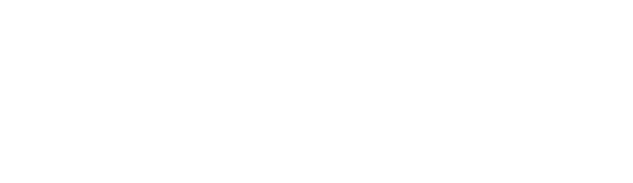Mundicargo